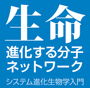 [i镪qlbg[N