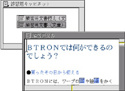 複製したい実身を指す仮身をダブルクリックしてウィンドウに開きます