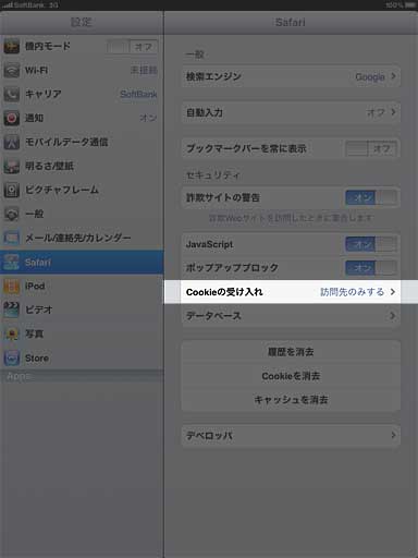 iPadのSafariの設定画面